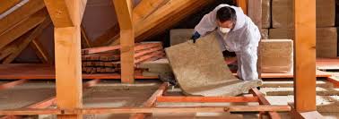 Best Eco-Friendly or Green Insulation Solutions  in St Peter, MN